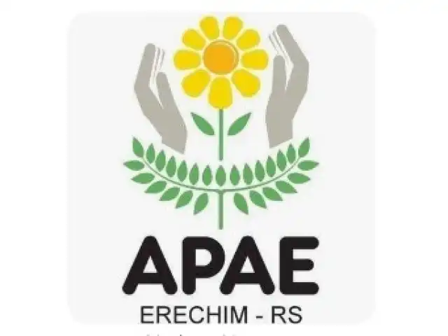 LEILAO APAE ERECHIM RS
